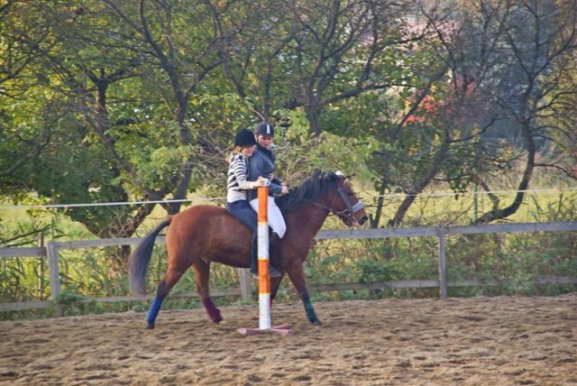 Hubertus 2009
